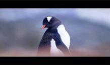 Late Season in Antarctica