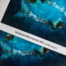 canson キャンソン インフィニティミュージアム プロ カマス 12m巻き Museum ProCanvas Water Resistant 385 - Canson Infinity