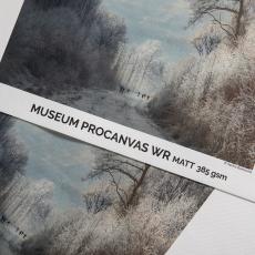 canson キャンソン インフィニティミュージアム プロ カマス 12m巻き Museum ProCanvas Water Resistant 385 - Canson Infinity