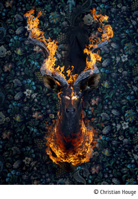 Christian Houge - Residence of Impermanence