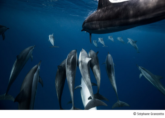 CLIQUETIS  exposition inédite de photographies de Stéphane Granzotto à Nantes