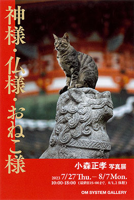 Masataka Komori photo exhibition - 「神様・仏様・おねこ様」 小森 正孝 写真展