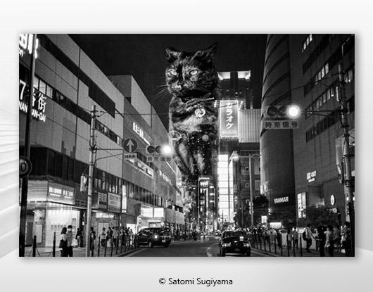 The Adventures of Tamarind and Bandit: 大猫物語 Bakeneko Monogatari, A photo exhibition by Satomi Sugiyama at The Icon