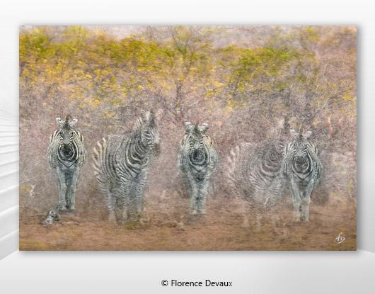 La nouvelle exposition de Florence DEVAUX sera présentée en avant-première en Aubrac