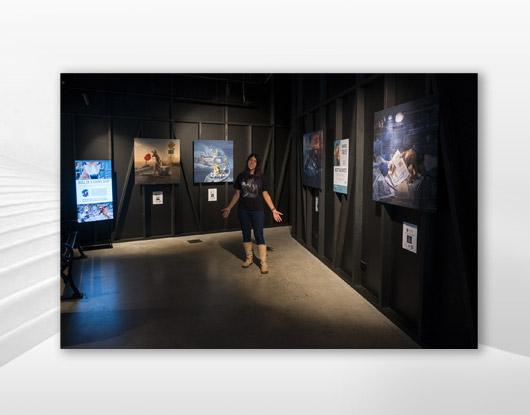 Aminal Tales Exhibition