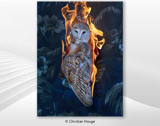 Christian Houge's latest work features in the touring exhibition 'Facing Fire' 