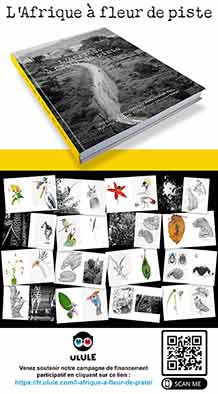 L'Afrique à fleur de piste