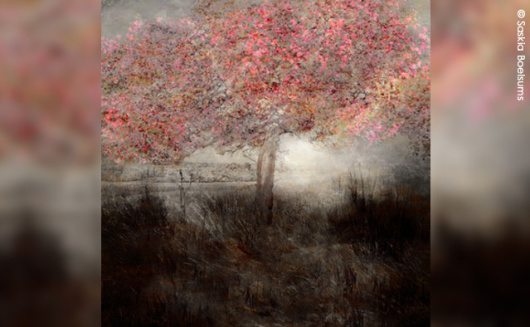 Canson Infinity Ambassador Saskia Boelsums exhibits at Drents Museum