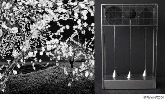 LE VOYAGE IMMOBILE AU JAPON