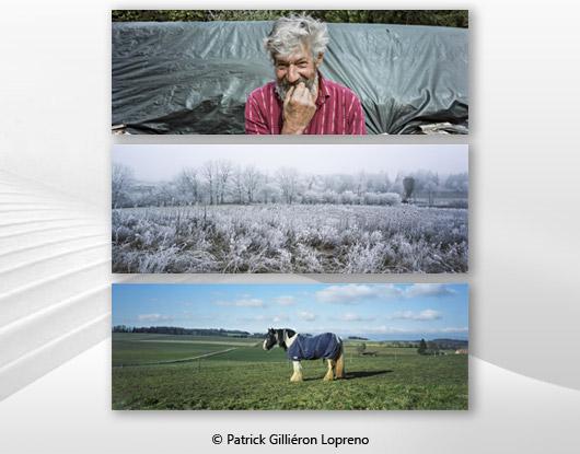 Exposition "Champs" de Patrick Gilliéron Lopreno 