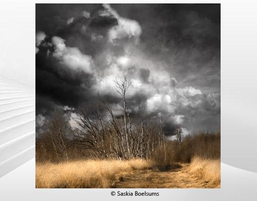 Saskia Boelsums exhibits new work at Teylers Museum
