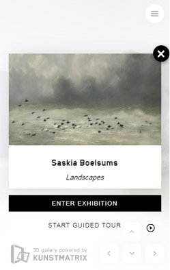 Saskia Boelsums's Online Exhibition