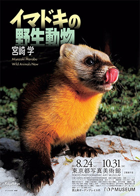 Miyazaki Manabu, launches latest exhibition at Tokyo Photographic Art Museum