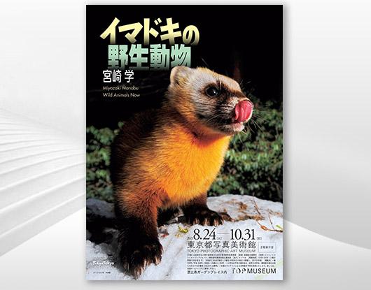 Miyazaki Manabu, launches latest exhibition at Tokyo Photographic Art Museum