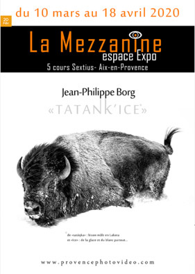 TATANK'ICE, la nouvelle expo à Aix en Provence