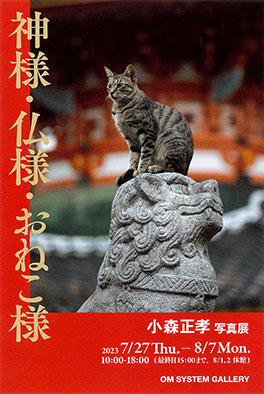 Masataka Komori photo exhibition - 「神様・仏様・おねこ様」 小森 正孝 写真展