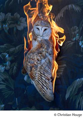 Christian Houge's latest work features in the touring exhibition 'Facing Fire' 